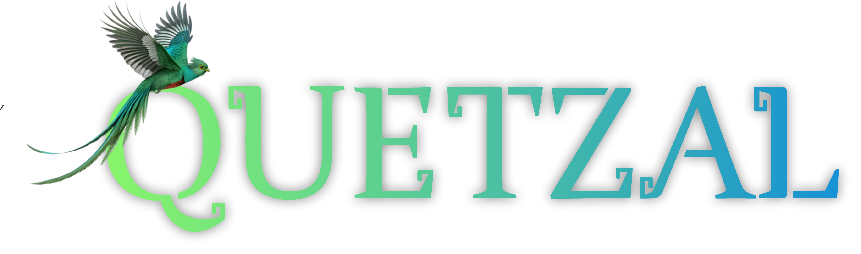 Imagen lateral